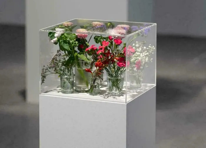 CAPC「Pollen」展